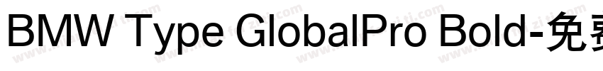 BMW Type GlobalPro Bold字体转换